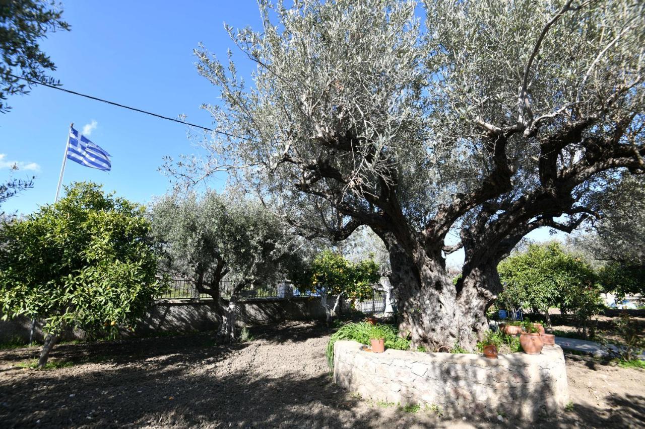 Villa Kavalino Колимбия Екстериор снимка